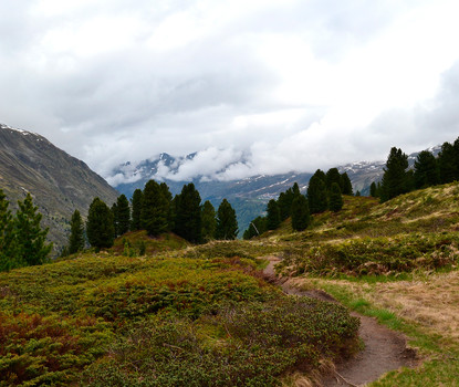 Nicht verpassen: Sport im Obergurgler Zirbenwald