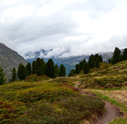 Nicht verpassen: Sport im Obergurgler Zirbenwald