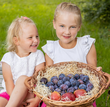 FAVORITE PLACE<br/>IN THE APPLE ORCHARD...<br/> FAVORITE PLACE<br/>IN THE APPLE ORCHARD...<br/>