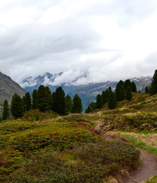 Nicht verpassen: Sport im Obergurgler Zirbenwald