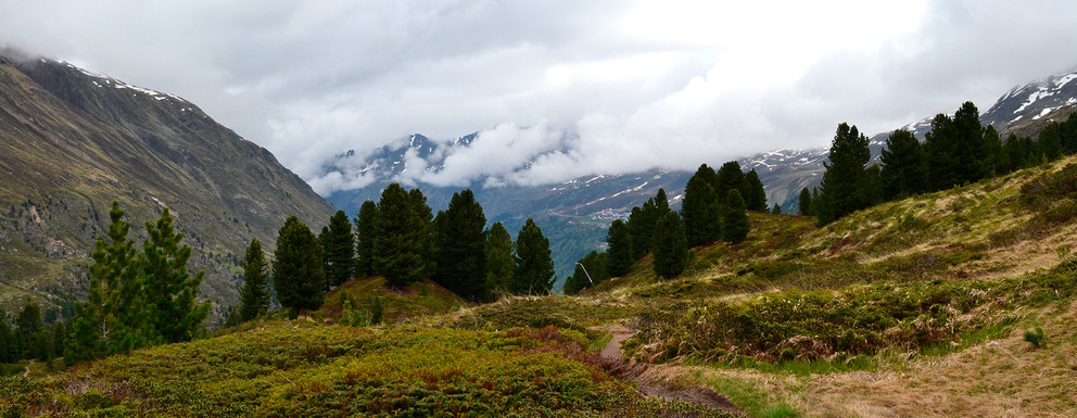 Nicht verpassen: Sport im Obergurgler Zirbenwald