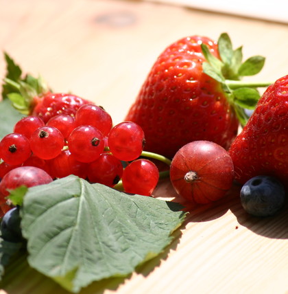 MAIR'S BERRY GARDEN